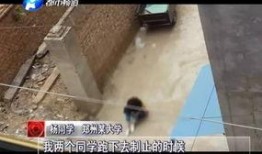 河南爆料女孩事件视频,真相与争议交织的舆论漩涡