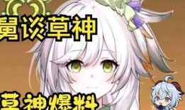 草神爆料视频在哪看啊,揭秘最新动态